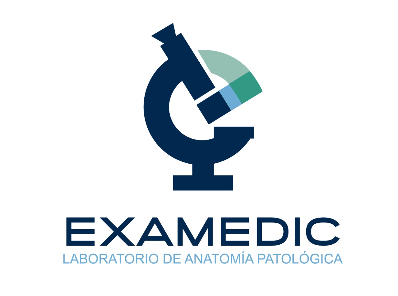 Logo Examedic